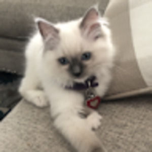 Meet your Posher, Karina